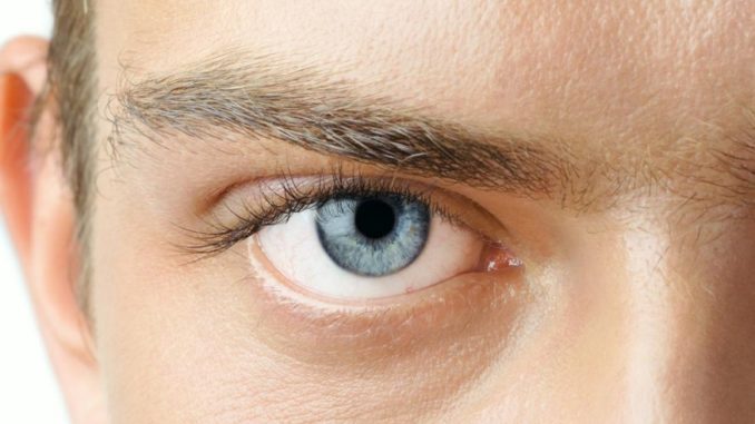 The Significance of Frequent Eye Check-Ups