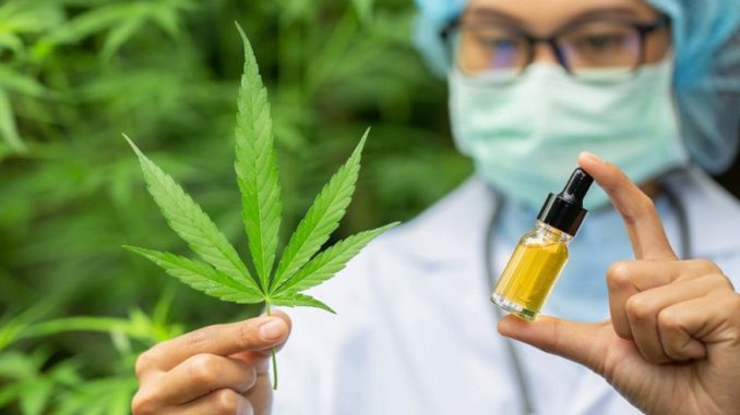 CBD Vaping the Future of Weed Consumption CBD Vaping the Future of Weed Consumption