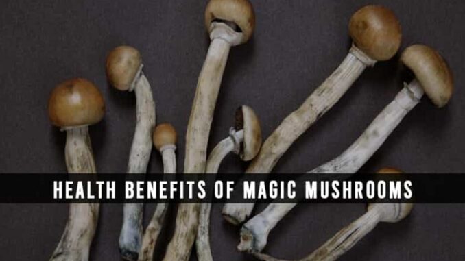 Benefits Of Magic Mushrooms