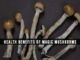 Benefits Of Magic Mushrooms