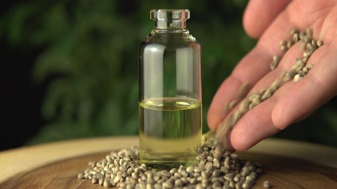 Cannabis cbd oil Cannabis cbd oil