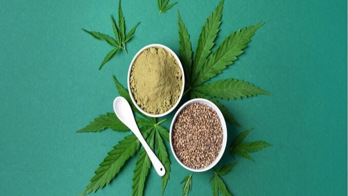 Hemp Lovers Hemp Lovers