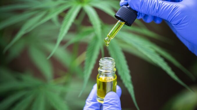 The Future of Medical Marijuana